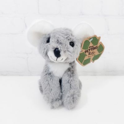 Koala Plush (6
